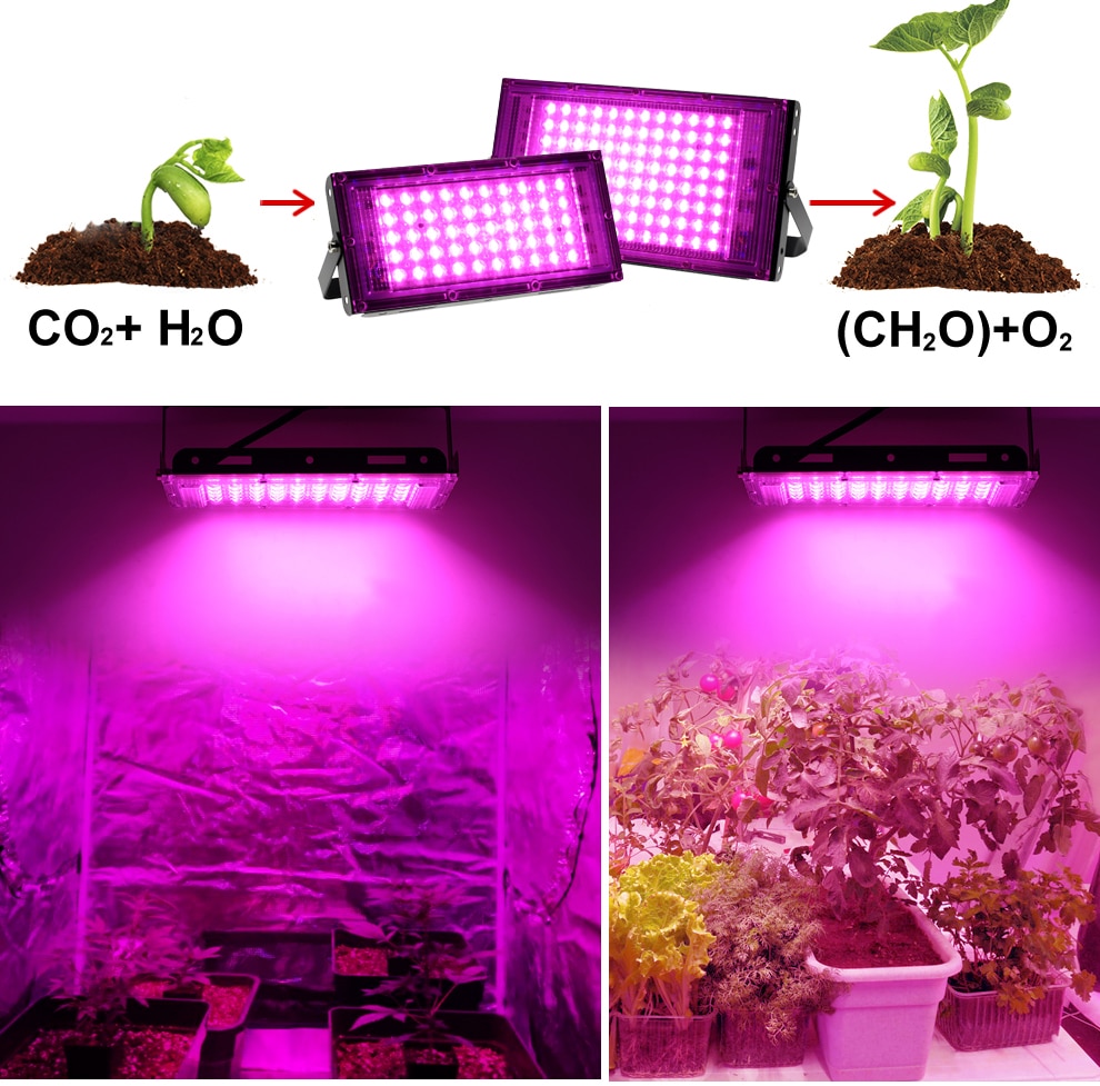 50W / 100W LED Hydroponics Lamp 50W / 100W LED Hydroponics Lamp