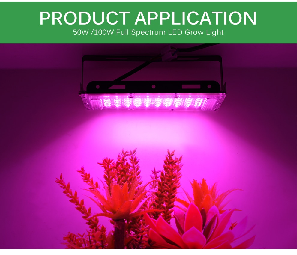 50W / 100W LED Hydroponics Lamp 50W / 100W LED Hydroponics Lamp