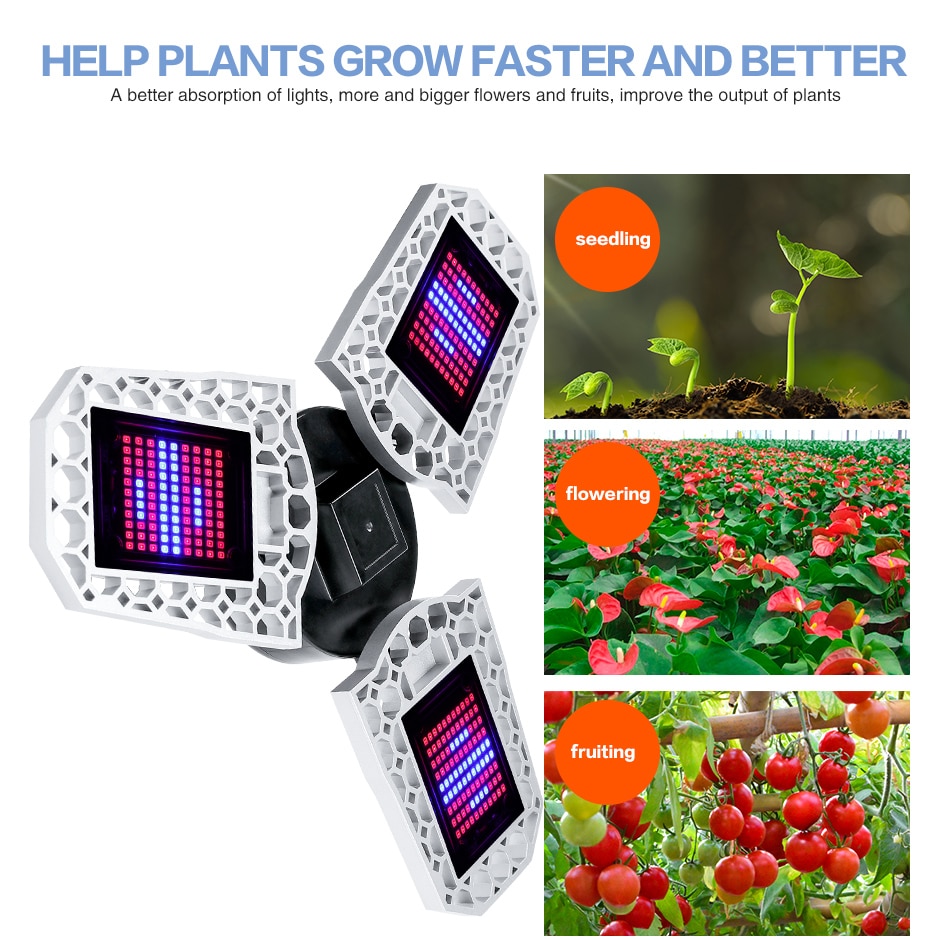 Petals Design Hydroponics Lamp Petals Design Hydroponics Lamp